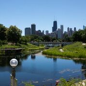 Chicago view from roof of Cafe Brauer